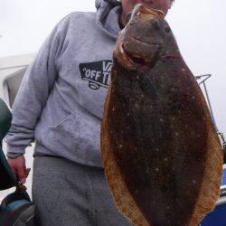 JDI Racing シールズマリンレジャー 釣果