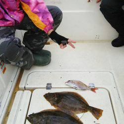 マリンガイド福丸 釣果