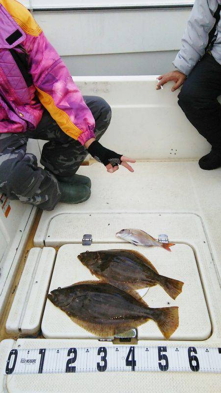 マリンガイド福丸 釣果