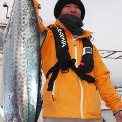 JDI Racing シールズマリンレジャー 釣果