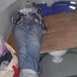 JDI Racing シールズマリンレジャー 釣果