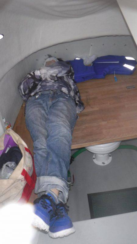 JDI Racing シールズマリンレジャー 釣果