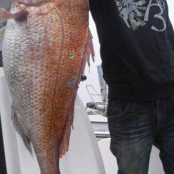 JDI Racing シールズマリンレジャー 釣果