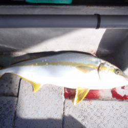 第二龍勢丸 釣果