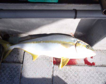 第二龍勢丸 釣果