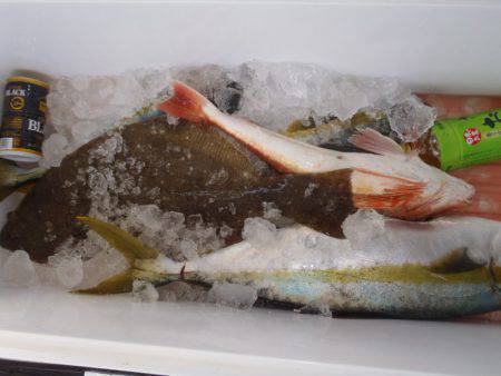 第二龍勢丸 釣果