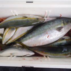 第二龍勢丸 釣果