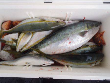 第二龍勢丸 釣果