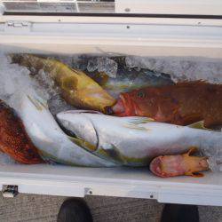 第二龍勢丸 釣果