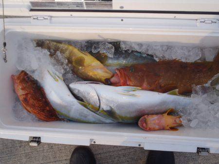 第二龍勢丸 釣果