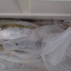 第二龍勢丸 釣果