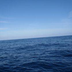 第二龍勢丸 釣果