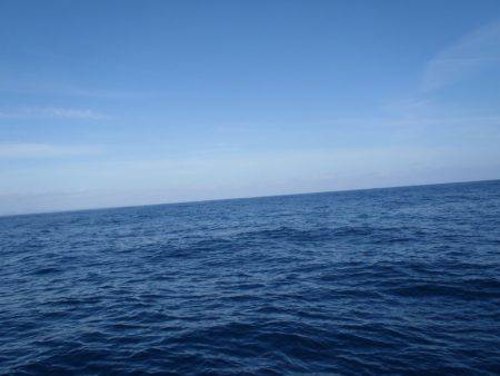 第二龍勢丸 釣果