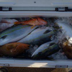 第二龍勢丸 釣果