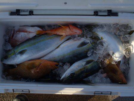 第二龍勢丸 釣果