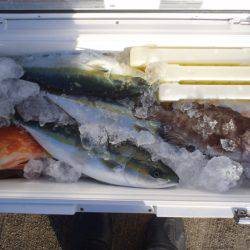 第二龍勢丸 釣果