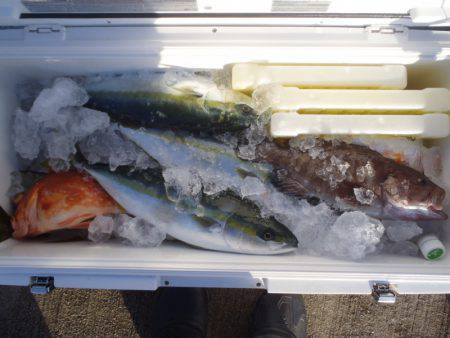 第二龍勢丸 釣果