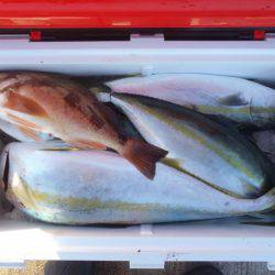 第二龍勢丸 釣果