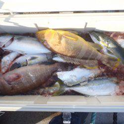 第二龍勢丸 釣果