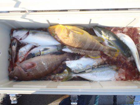 第二龍勢丸 釣果