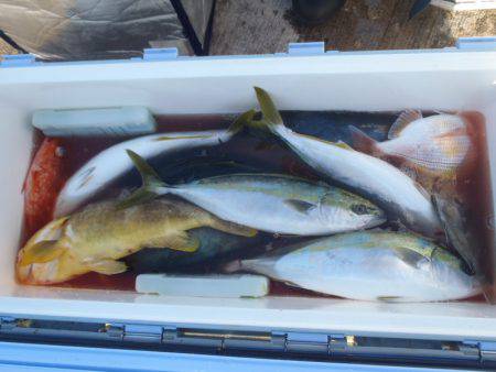 第二龍勢丸 釣果