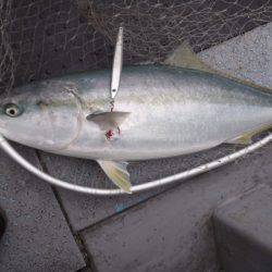 第二龍勢丸 釣果