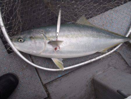 第二龍勢丸 釣果