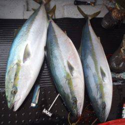 第二龍勢丸 釣果