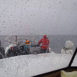 第二龍勢丸 釣果