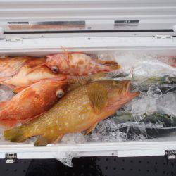 第二龍勢丸 釣果