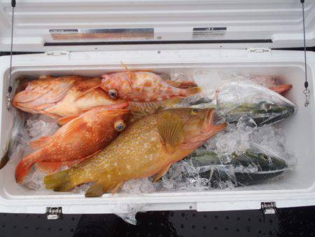 第二龍勢丸 釣果