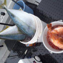 第二龍勢丸 釣果