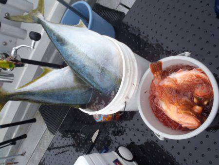 第二龍勢丸 釣果