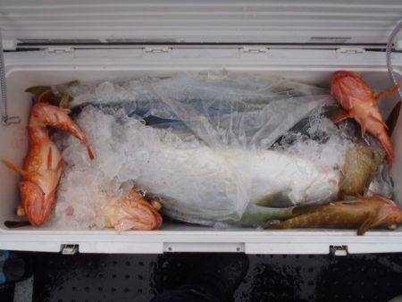 第二龍勢丸 釣果