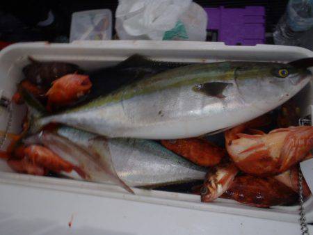 第二龍勢丸 釣果