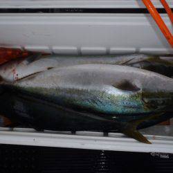 第二龍勢丸 釣果