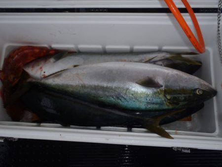 第二龍勢丸 釣果