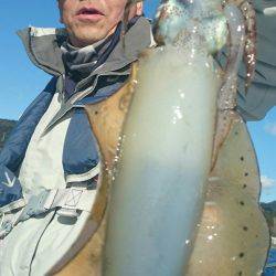 シースナイパー海龍 釣果