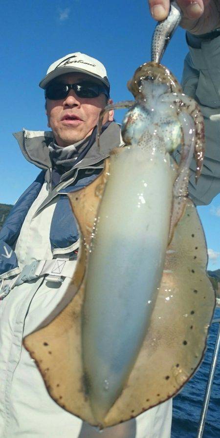 シースナイパー海龍 釣果