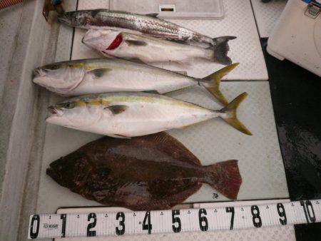 オーシャンスター(Ocean Star) …