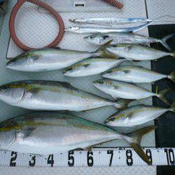 オーシャンスター(Ocean Star) 釣果