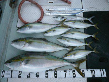 オーシャンスター(Ocean Star) …