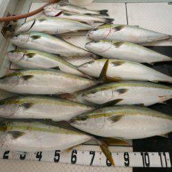 オーシャンスター(Ocean Star) 釣果