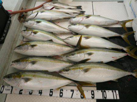 オーシャンスター(Ocean Star) …