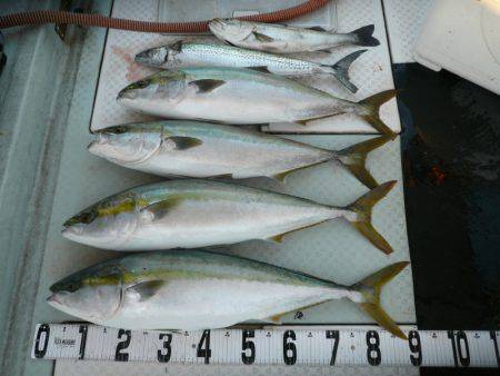 オーシャンスター(Ocean Star) …