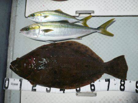 オーシャンスター(Ocean Star) …