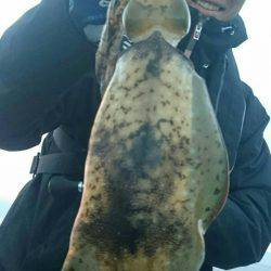 シースナイパー海龍 釣果