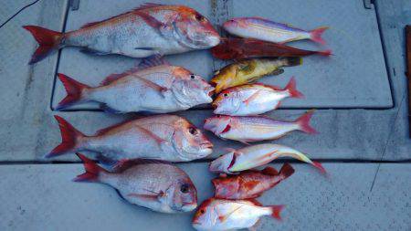 海季丸(みきまる) 釣果