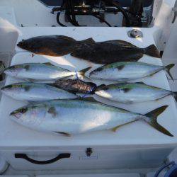 JDI Racing シールズマリンレジャー 釣果