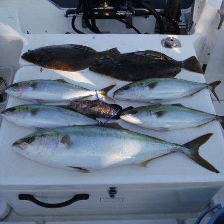 JDI Racing シールズマリンレジャー 釣果